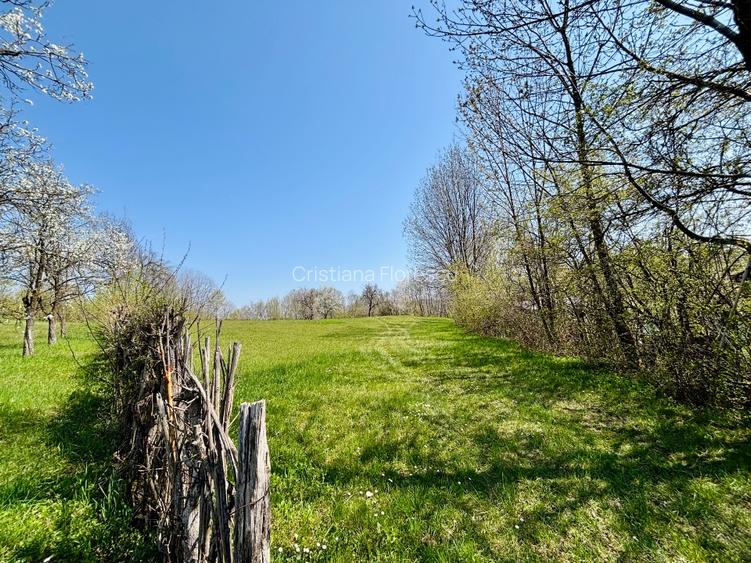 Teren 3.800 mp | Pucioasa, Dâmbovița | Natură, liniște și acces dublu - 2