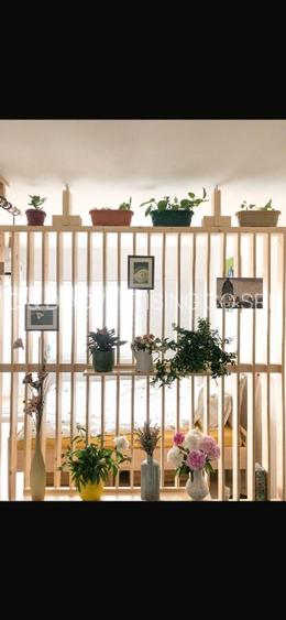 TEI / GHICA TEI - Garsoniera DECOMANDATA - PET FRIENDLY - 6