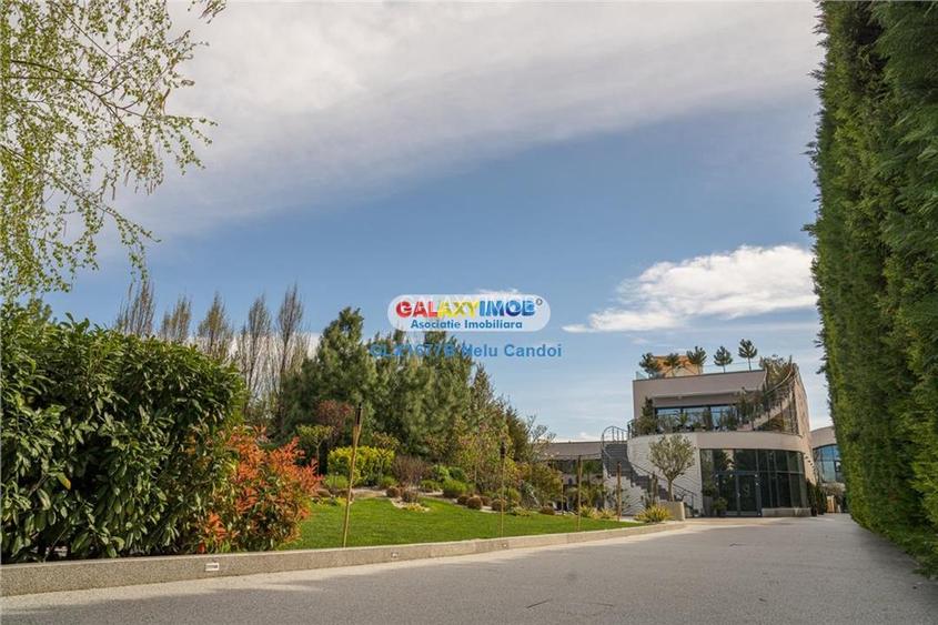 VANZARE AFACERE LA CHEIE MOGOSOIA  COUNTRY CLUB 5000 - 15