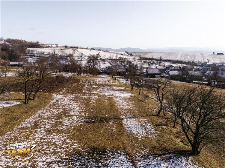 Film! Casa din lemn,cu doua camere, pe domeniu de 2.819 mp, Mereni, Covasna - 3