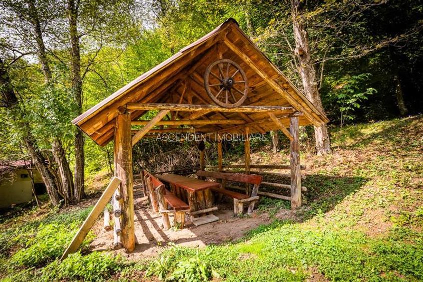 FILM! Complex turistic apreciabil, pe 2.000 mp teren in Cheile Rasnoavei, Brasov - 23