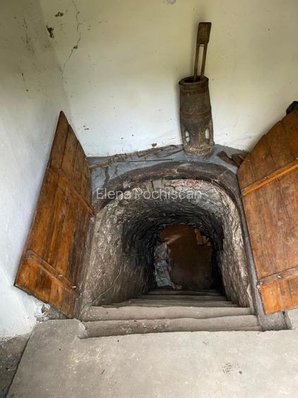 Casa 216mp cu vie si livada, 2500 mp teren – Horodistea, comuna Cotnari, Iasi - 2