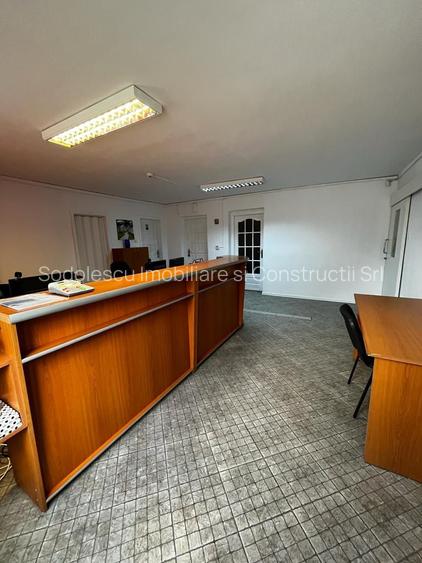 Spatiu industrial productie/ depozitare, Timiș - 35