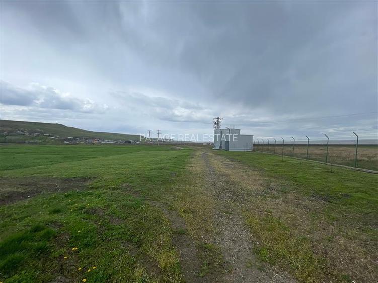 Hala Industriala Premium Letcani Complet Echipata - 6