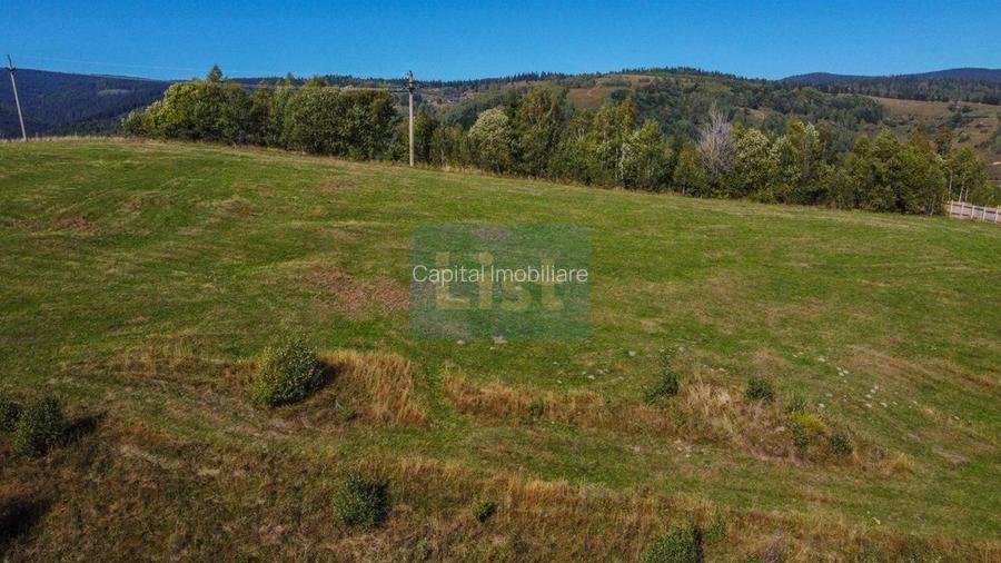 Comision 0% teren intravilan 1000 mp, PUZ, priveliste, Baisoara - 6