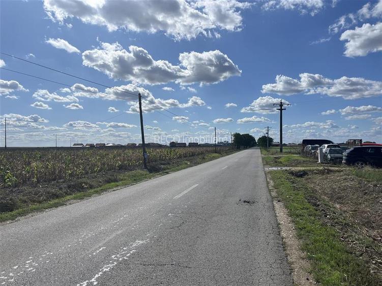 RECO Teren intravilan 1200mp -Livada de Bihor - 6