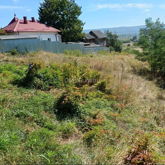 Teren vânzare Vâlcea  - 5