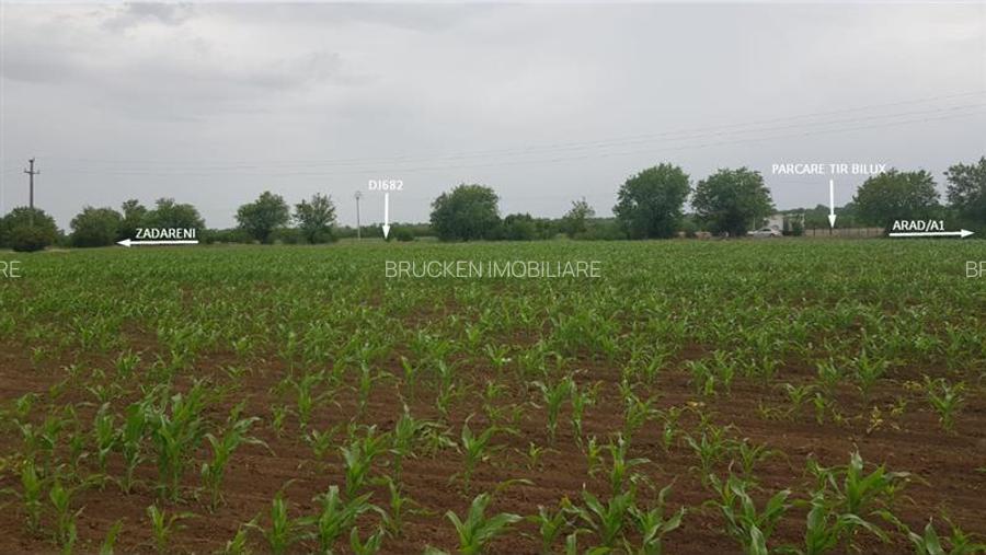 TEREN CU POTENTIAL INDUSTRIAL | 4,35 HA | ARAD, ZADARENI - 8