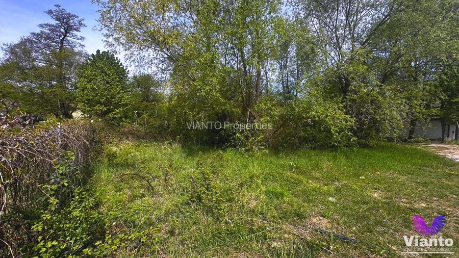 TEREN INTRAVILAN  PREMIUM 617MP | PADUREA DUMBRAVA - 6