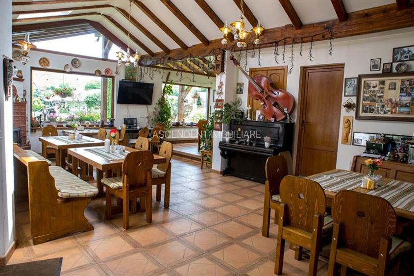 Hotel Bielmann,unicitate si profitabilitate optima in turism,Sanpetru, Brasov - 27