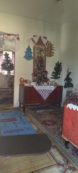 Anunț Vânzare Proprietate Rurală – sat Bușca, comuna Mihăiești, județul Olt - 14