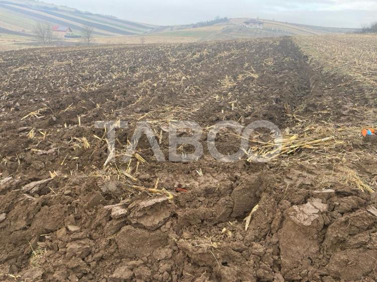 Teren  intravilan 9300 mp de vanzare cu acces la utilitati  Sura Mare