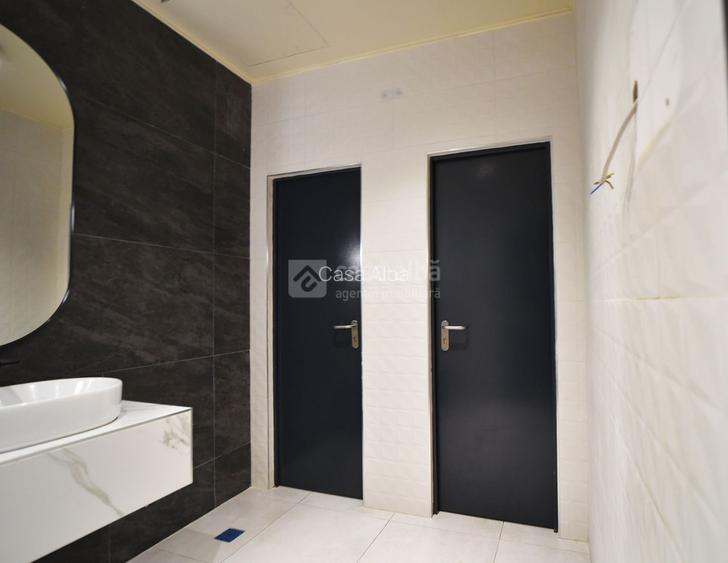 Alexandru cel Bun, spatiu excelent pozitionat, S+P, 800mp construiti - 12