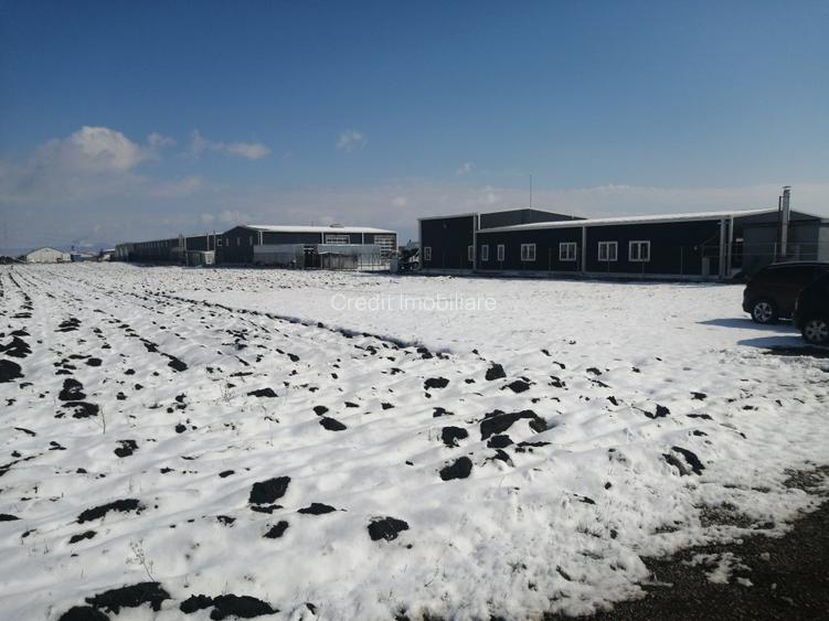 Teren de vanzare zona industriala - 5