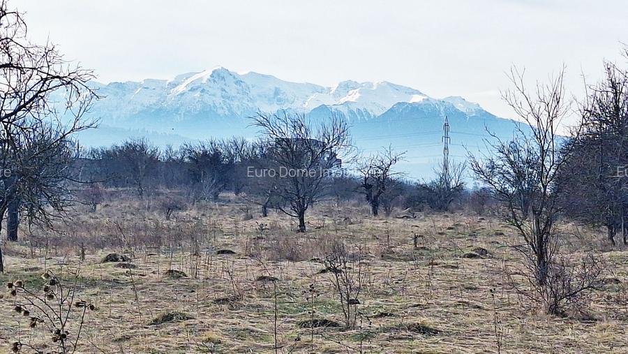 Teren intravilan pentru Investitie!!!,933mp in Ghimbav, 50 euro/mp neg. - 2