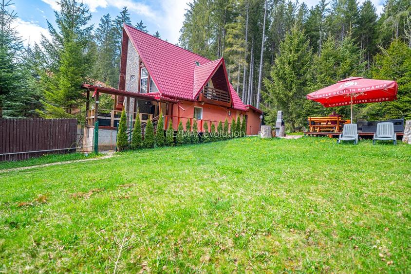 Vila cocheta în Azuga, lângă pădure, cu priveliște superbă la munți - 20