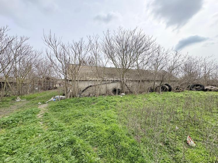 Ferma de vanzare , Loc Nistoresti Jud Constanta - 10