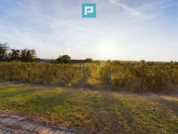 Pivnițele Birăuaș D.O.C Miniș - RATE FĂRĂ DOBÂNDĂ - 32