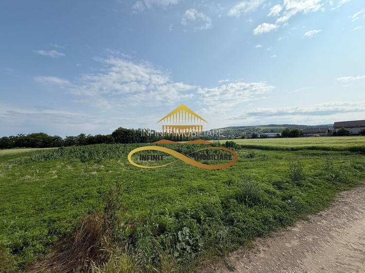 Teren intravilan de Vanzare in Magura Bacau - 7