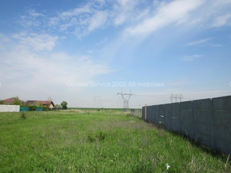 Domnesti-Crengutei - 6