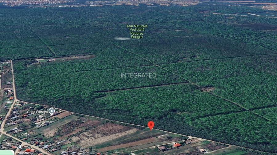 Teren intravilan 2000 mp,  Silistea Snagovului - Front PADURE( 38 ml Front  - 2