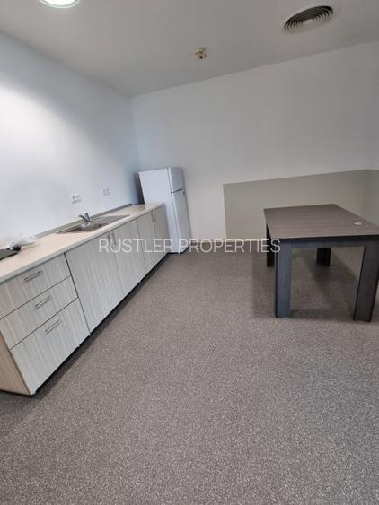 Inchiriere spatii de birou amenajate in cladirea Green Gate - Tudor Vladimirescu - 14