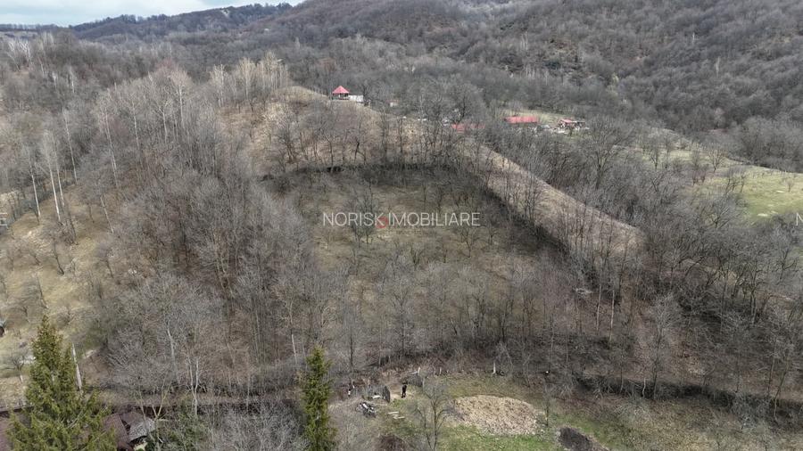 Oportunitate investitie teren  – Cerașu, Prahova | 3.485 mp | View spectaculos - 4