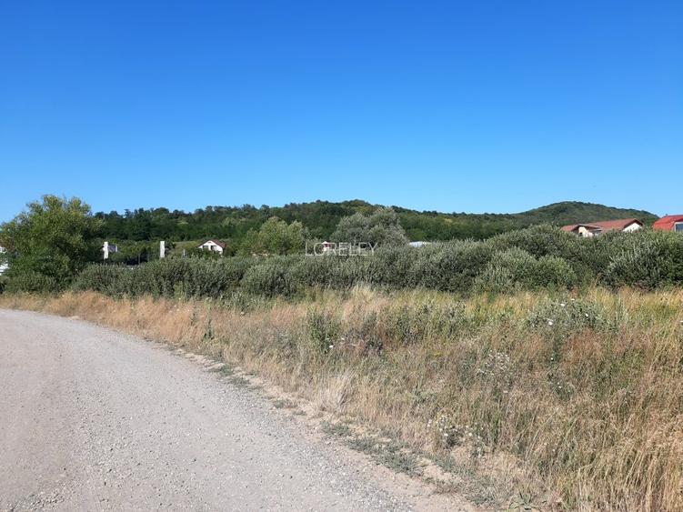 Teren plat, intravilan, zona rezidentiala in Corunca. Ideal pentru investitor - 3