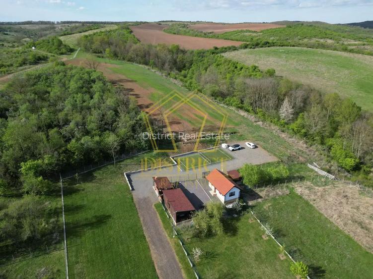 Casa de vacanta cu teren si padure de 3.8ha | Nadas | Herneacova - 3