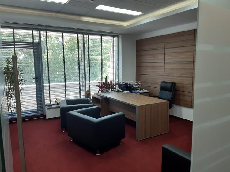 Birouri, Showroom, Sala de prezentari, Depozit , functiuni multiple - 14