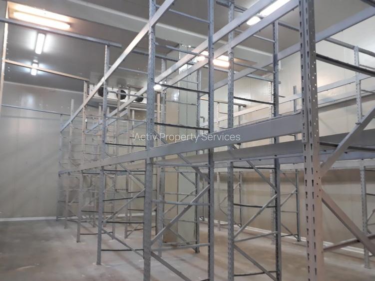 Hala temperatura controlata Magurele - 6