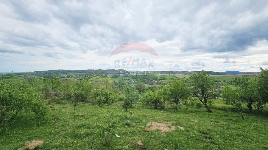 Teren 5,350mp Dobreni / Strada Manastirea Horaita - 7