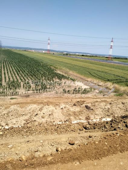 Teren Oarja de 8 400 mp, langa Pasarela A1, 5,5 euro/mp la Pretul 46 200 Euro. - 2