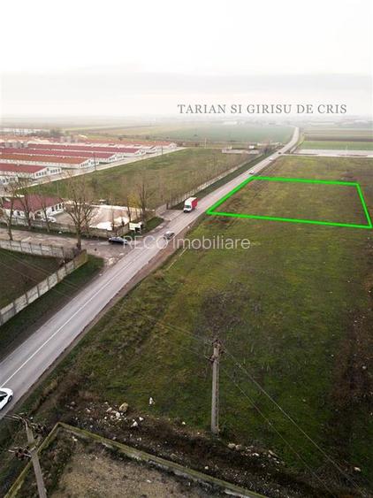 RECO Teren intravilan pentru servicii 1500 mp zona industriala Santandrei - 2