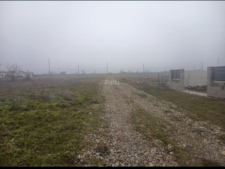 Teren intravilan Simian zona avicola - 4