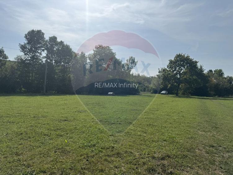 Teren 10.000 mp Calatele – Apuseni, langa rau, ideal investitie turism - 6