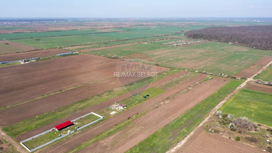 Vanzare teren intravilan 500 mp Sabareni /  Strada Orhideelor - 13