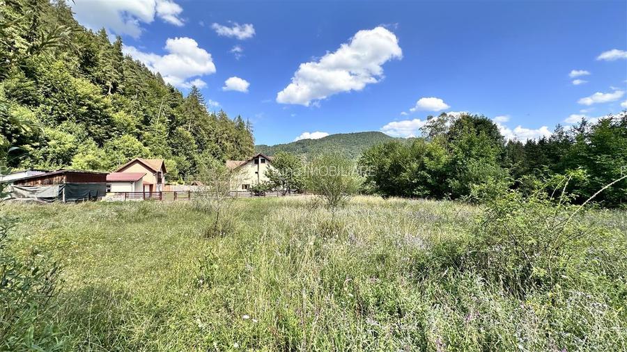 Teren intravilan cu PUZ 4000  mp -Sacele  - Bradet - 17