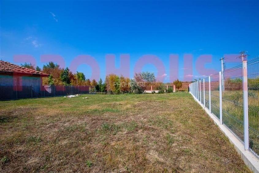 Persoana fizica - teren 1.000mp - Serbanesti - cu lac amenajat - 11