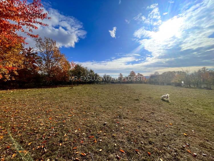 Teren Premium 1559 mp, Brebu Manastirei – Refugiu Montan la 120 km de Bucuresti, - 6