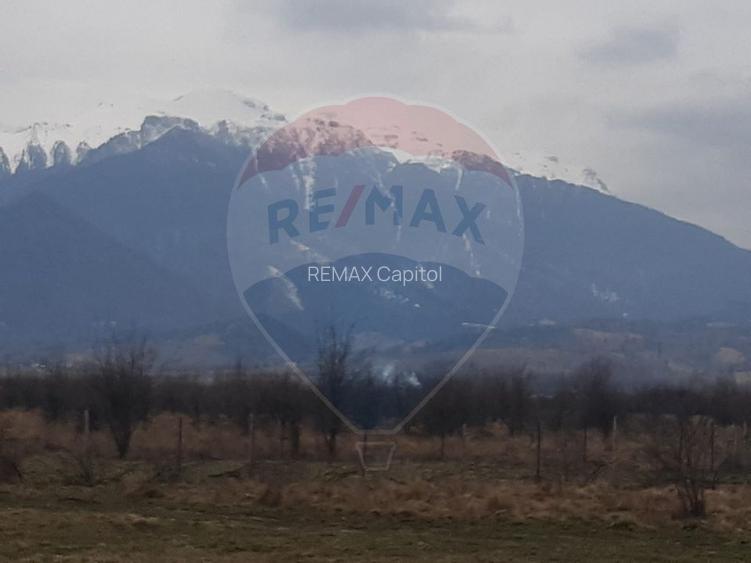 Teren 10,000mp Rasnov / Drumul Panicel - 3