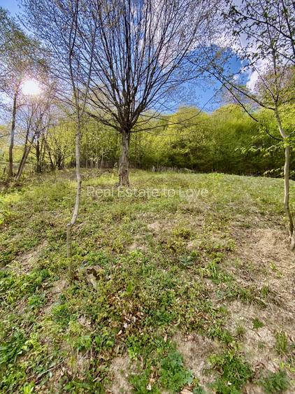 Teren vedere panoramică lac Paltinu si dealuri împădurite in Valea Doftanei - 8