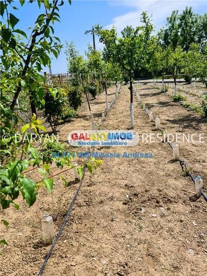 Teren in Poienari Apostoli, 21 E mp, Avantajos, DN1, 34.500 euro - 12