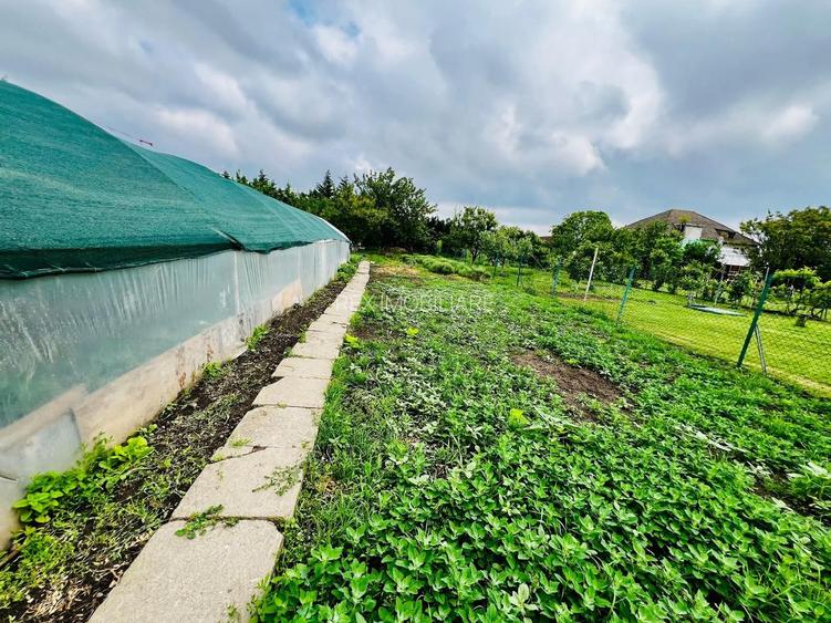 Casa Individuala 5 camere  -  Zona  Mehala - 13