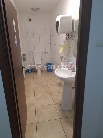 Lipovei birou 20 mp 230 euro - 3