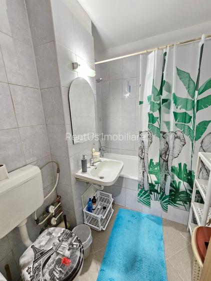 Dristor/Baba Novac/Garsoniera La Cheie/ - 10