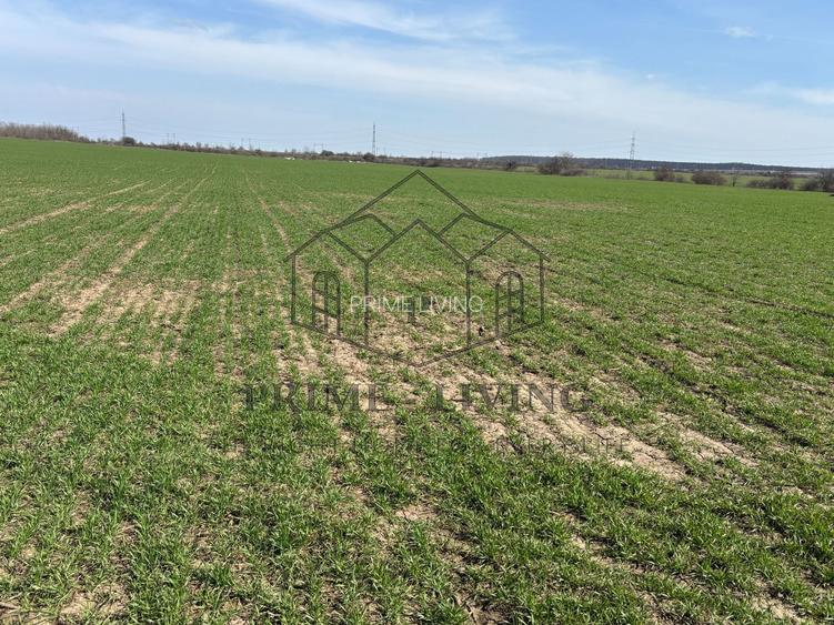 Teren pentru investiție - 3