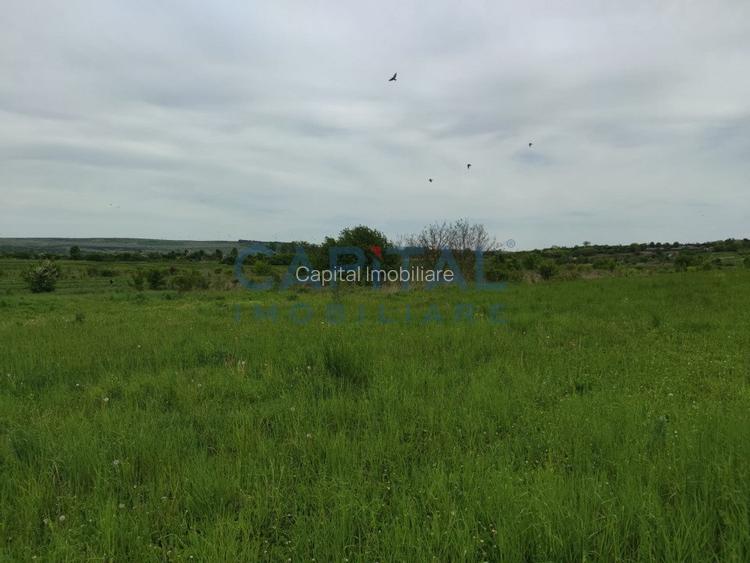 Comision 0%! Oportunitate, teren intravilan, 800 mp Masterplan, Sopor - 5