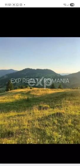 Teren Budeasa cu iesire la lac - 2