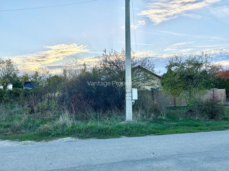 1007mp teren Peris, deschidere 14ml - 6